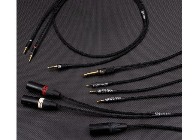 BRISE AUDIO TOTORI