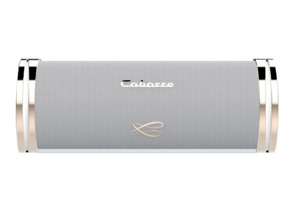 Cabasse The Swell - Portable HiFi Speaker