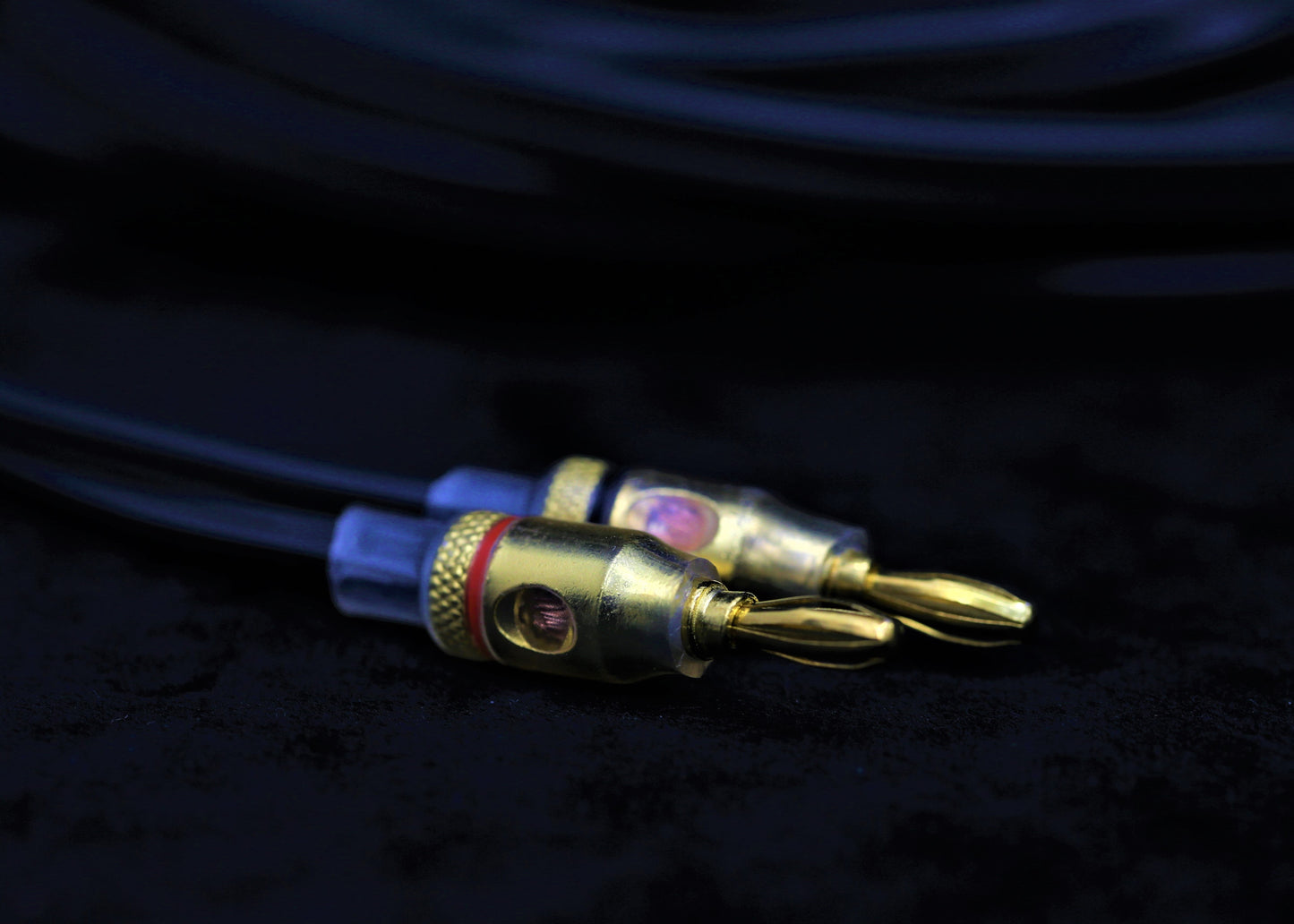 [聖誕新年優惠] Audioquest G2 Speaker Cable