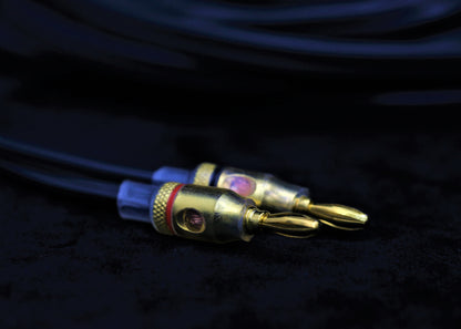 [聖誕新年優惠] Audioquest G2 Speaker Cable