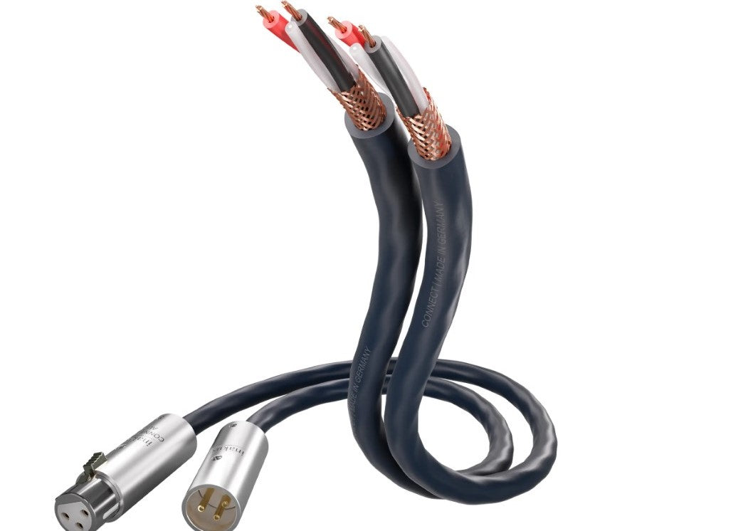 inakustik S25 Connect 212 XLR