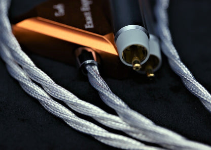 EE Earth RCA