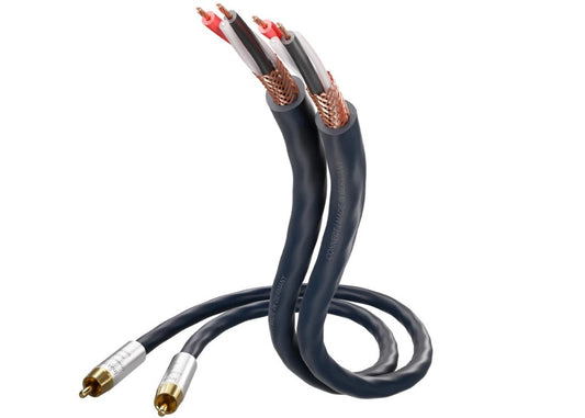 inakustik S25 Connect 212 RCA