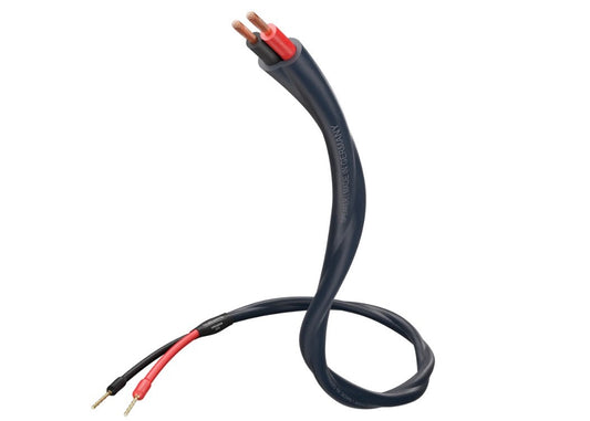 inakustik S25 Speaker 225